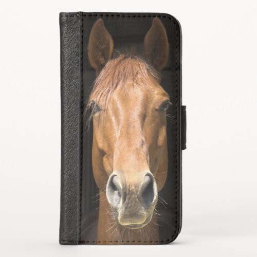 Horse Face Photograph iPhone X Wallet Case