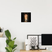 Horse Face Photograph Poster (Home Office)