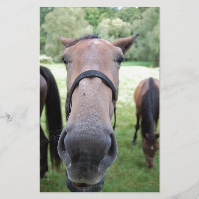 Horse face stationery (Front)