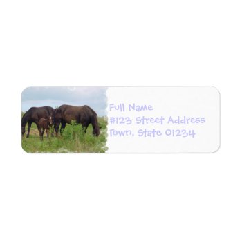 Horse Family Grazing Mailing Label by HorseStall at Zazzle