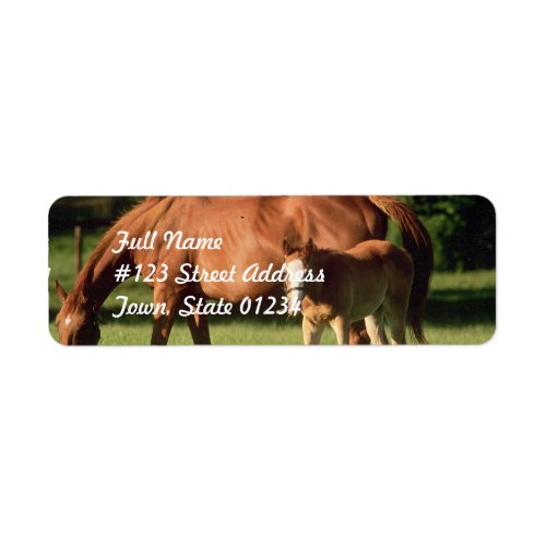 Horse Family Return Address Mailing Labels