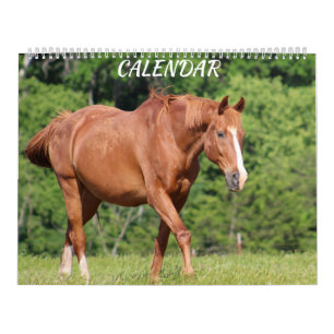 Horse Farm Bright Lively Colorful Calendar