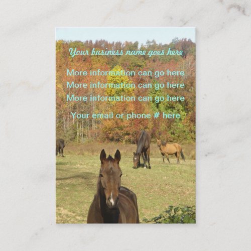 Horse farm Business Cards