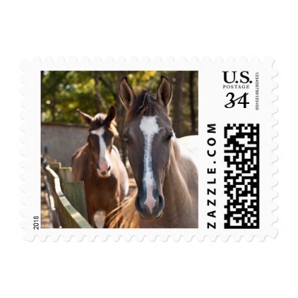 Horse Farm Postage