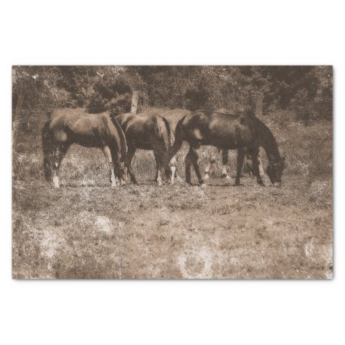 Horse Farm Vintage Country Rustic Sepia Western Tissue Paper