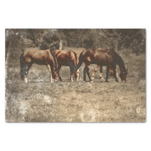Horse Farm Vintage Country Rustic Western Tissue Paper