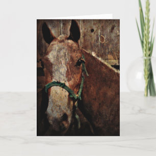 Horse, Father's Day Card