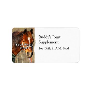 Horse Feed Label by PaintingPony at Zazzle