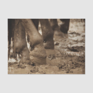 Horse Feet Western Vintage Sepia Brown Rustic Tissue Paper
