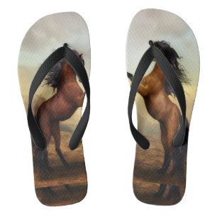 horse fights flip flops