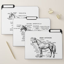 Horse File Folder