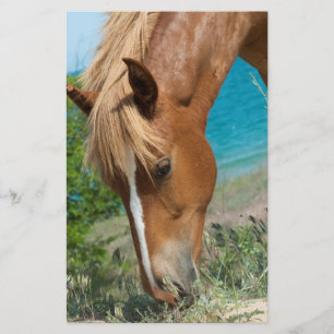 Horse Flyer