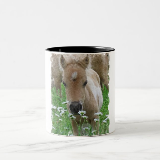 Horse Foal Smelling Flowers on a Mug (Center)