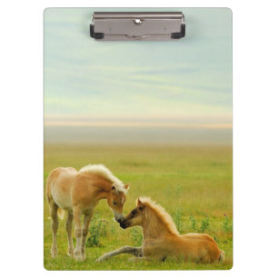 Horse Foals Clipboard