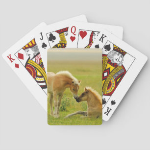 Horse Foals Poker Cards
