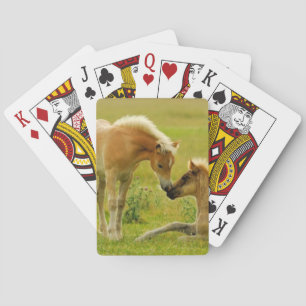 Horse Foals Poker Cards
