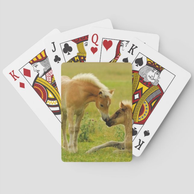 Horse Foals Poker Cards (Back)