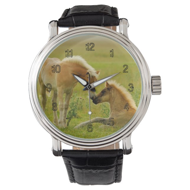 Horse Foals Watch (Front)
