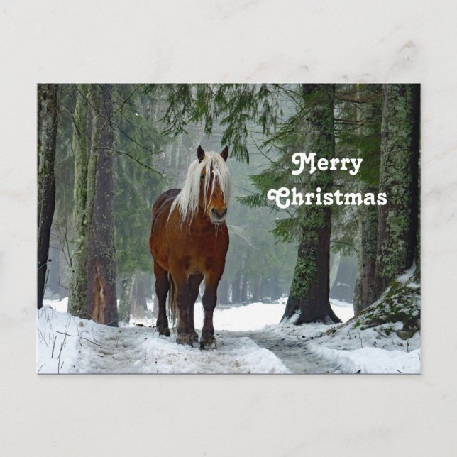 Horse Forest Snow Watercolor Christmas Postcard (Front)