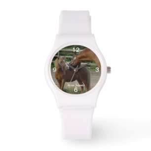Horse friend kisses Watch