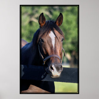 Horse Friendly Art Poster -40x60-click for smaller
