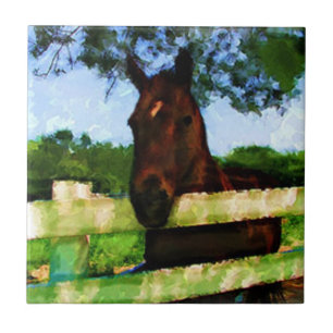 Horse Friendly Tile