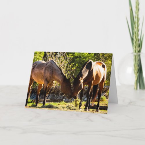 Horse Friends Blank Inside Card