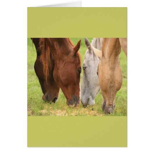 Horse friends cards (Front)