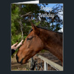 Horse Friends Forever, Large Birthday Card<br><div class="desc">Pictured receiving a gentle pat is a lovely brown horse</div>