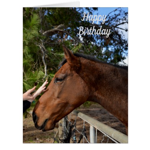 Horse Friends Forever Large Birthday Card