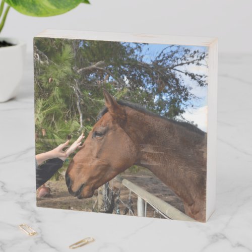 Horse Friends Forever Wood Photo Display Wooden Box Sign