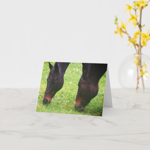 Horse Friends Grazing Blank Note Card