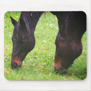 Horse Friends Grazing Mouse Pad