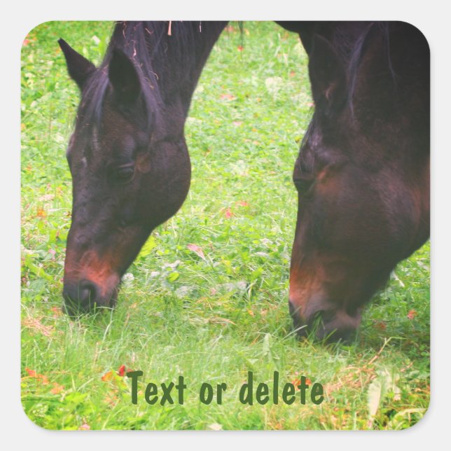 Horse Friends Grazing Personalized Square Sticker (Front)