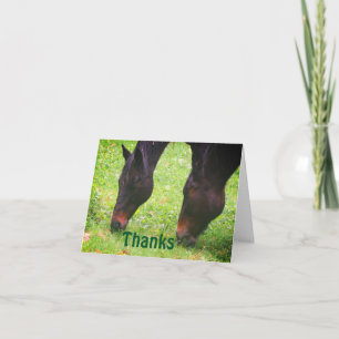 Horse Friends Grazing Thank You Card