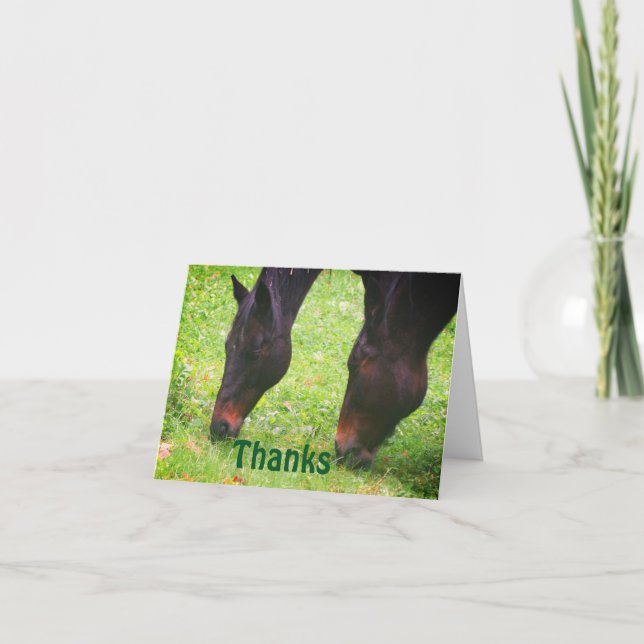 Horse Friends Grazing Thank You Card (Front)
