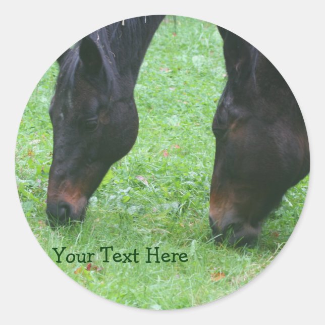Horse Friends Grazing Together Animal Sticker (Front)