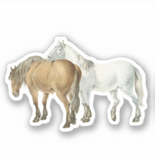 Horse Friendship Got Your Back Vintage Equestrian  Sticker