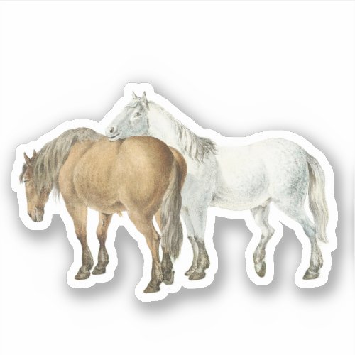 Horse Friendship Got Your Back Vintage Equestrian  Sticker