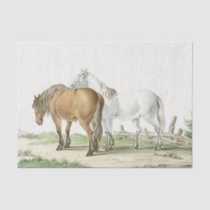 Horse Friendship Got Your Back Vintage Equestrian Tissue Paper