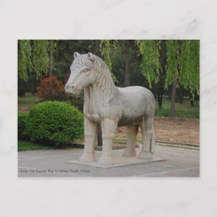 Horse from The Sacred Way in Mings Tomb, Beijing Postcard