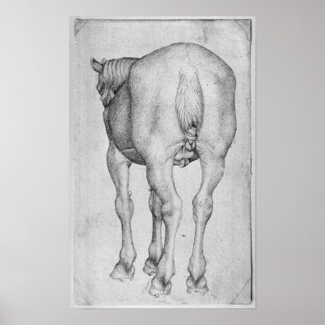 Horse, from the The Vallardi Album Poster (Front)