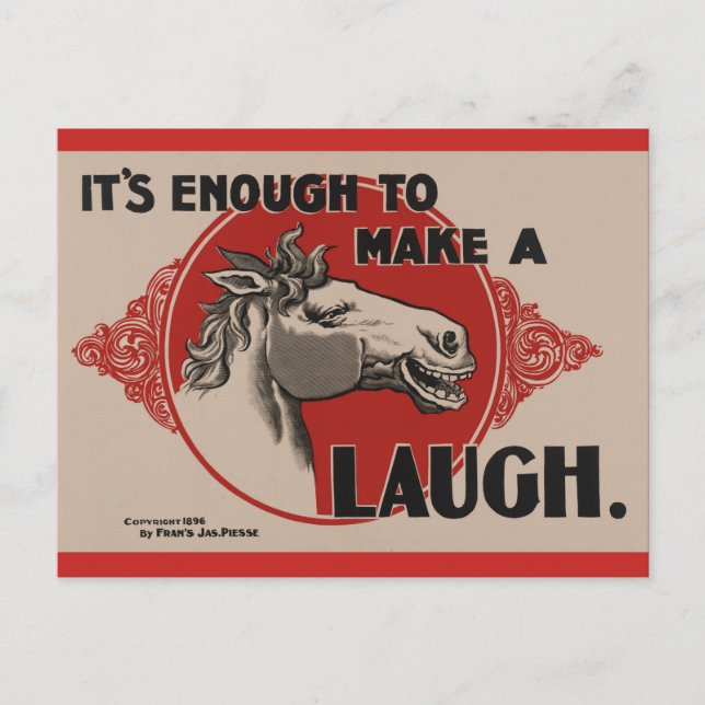 Horse Funny Post Card (Front)