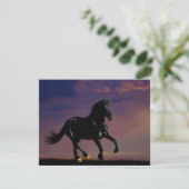 Horse galloping free (Standing Front)