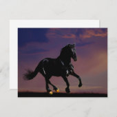 Horse galloping free (Front/Back)