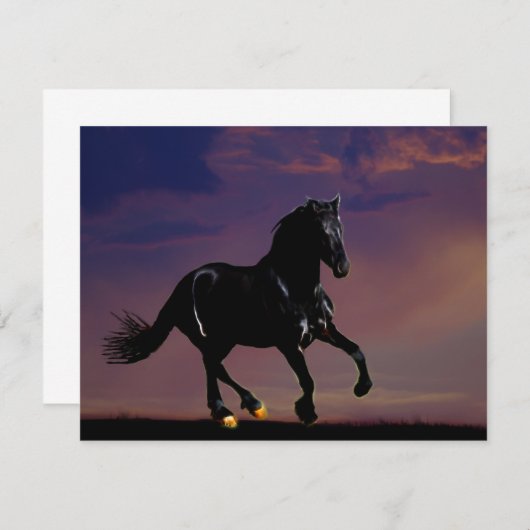 Horse galloping free (Front/Back)
