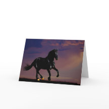 Horse galloping free