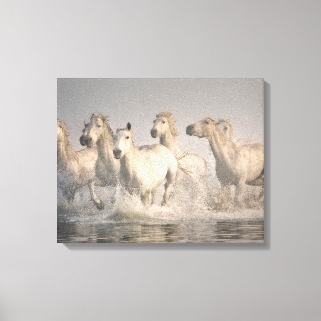 Horse Galloping in the Mediterranean Water Canvas Print (Front)