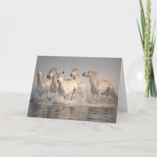 Horse Galloping in the Mediterranean Water Card