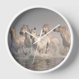 Horse Galloping in the Mediterranean Water Clock